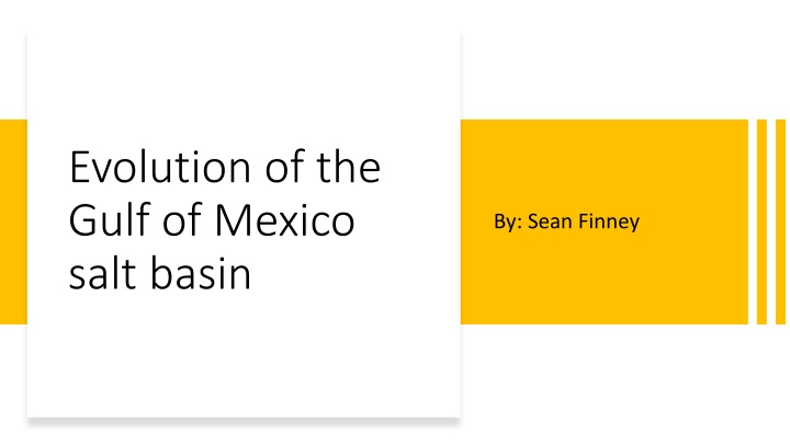 evolution of the gulf of mexico salt basin