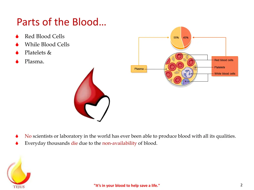 parts of the blood