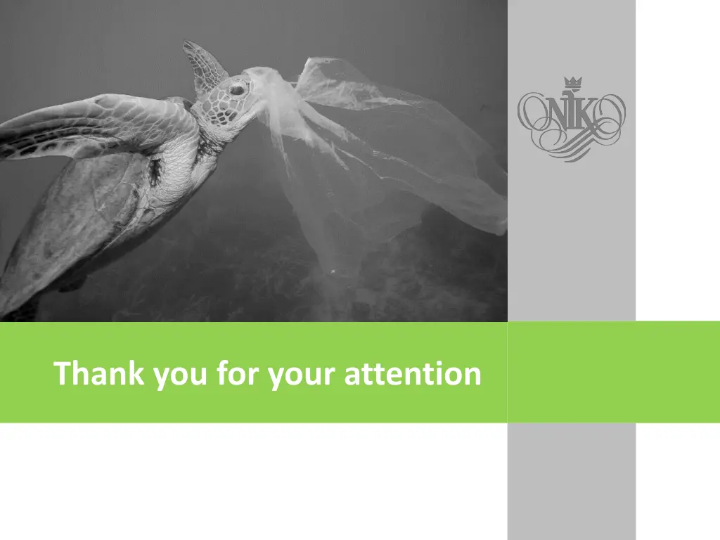 thank you for your attention