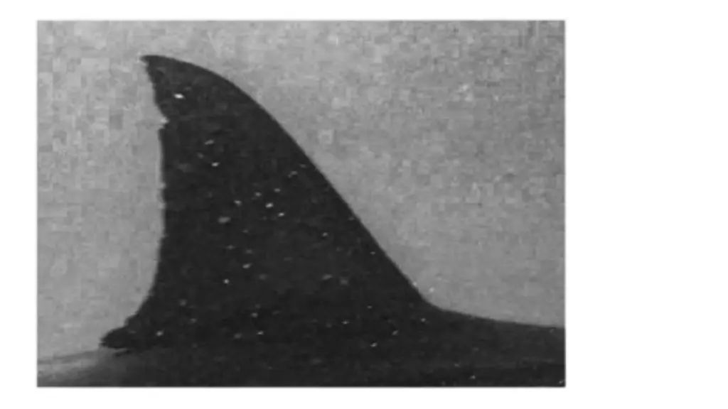 slide11