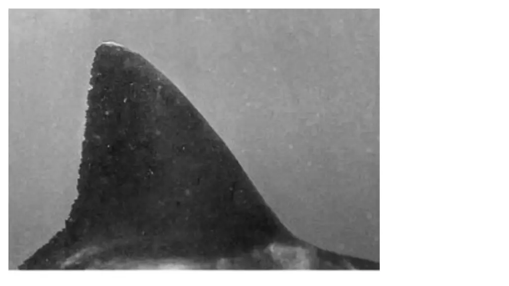 slide13