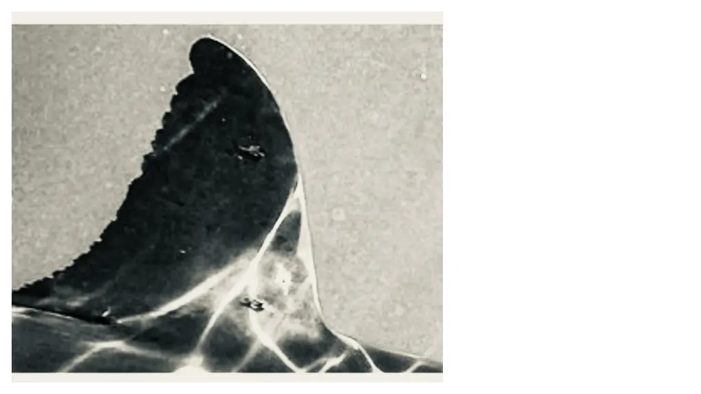 slide15