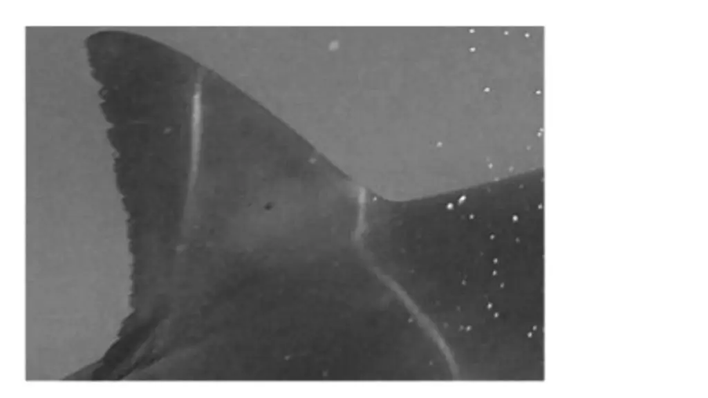 slide3