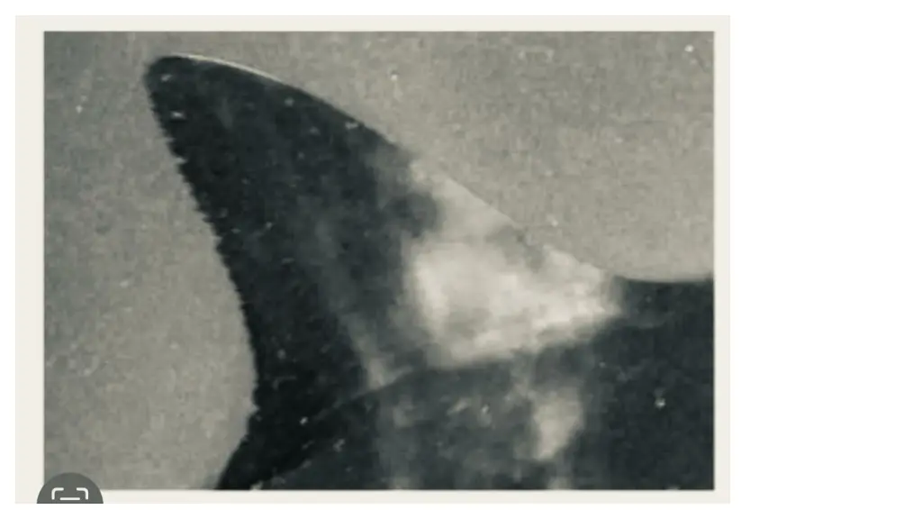 slide5