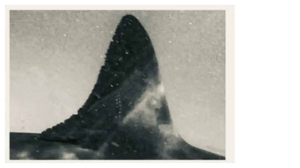 slide6