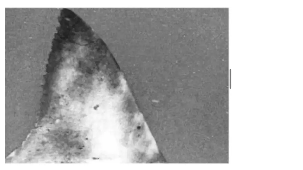 slide7