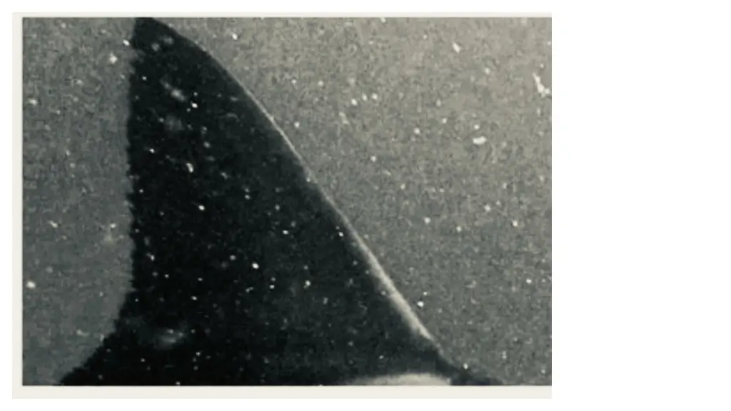 slide8