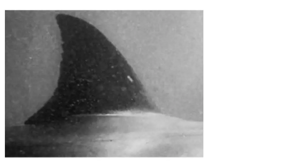 slide9