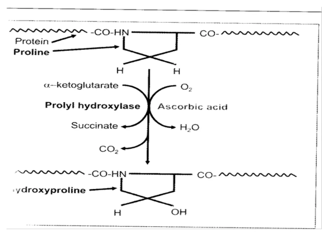 slide11