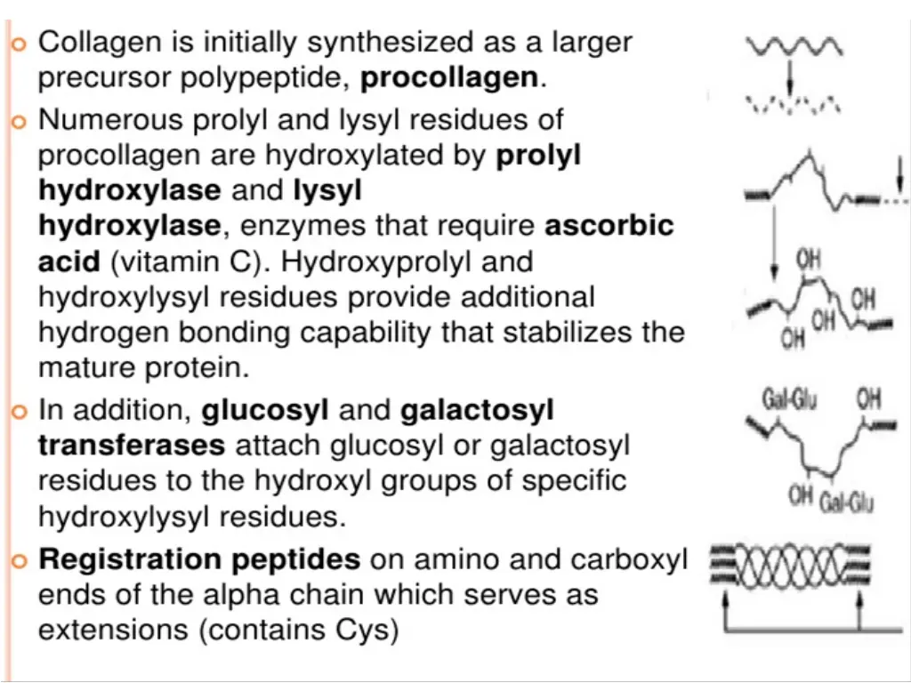 slide13
