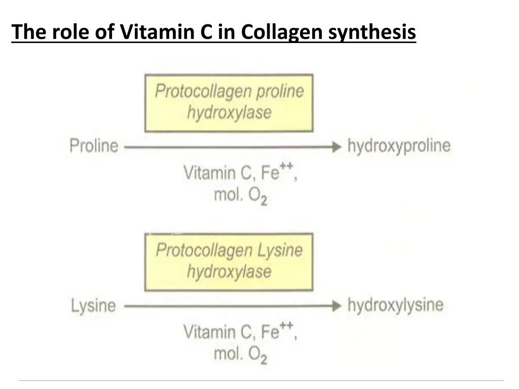the role of vitamin c in collagen synthesis