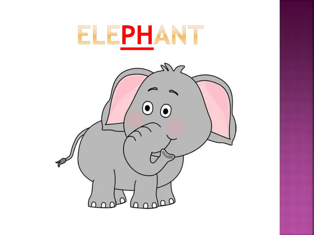 elephant