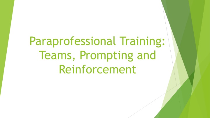 paraprofessional training teams prompting