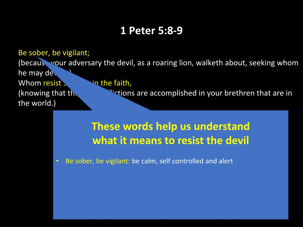 1 peter 5 8 9 17