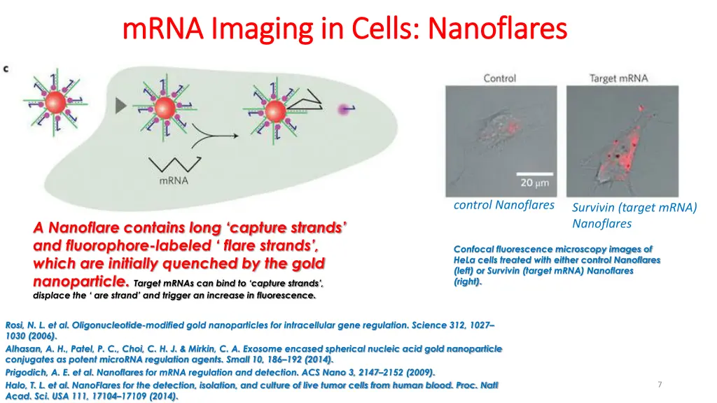 mrna imaging in cells nanoflares mrna imaging