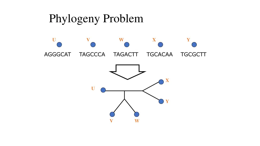 phylogeny problem