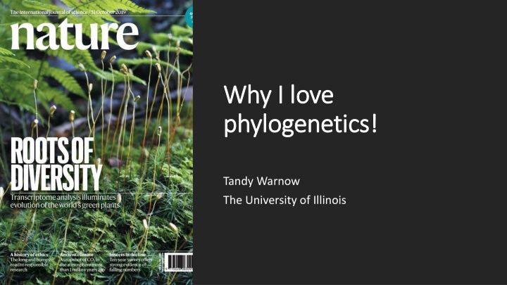 why i love why i love phylogenetics phylogenetics