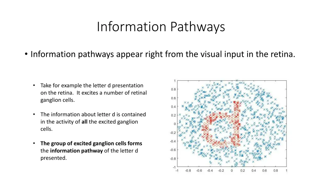 information pathways