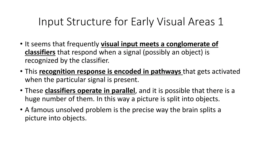 input structure for early visual areas 1