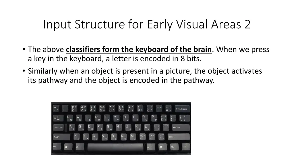 input structure for early visual areas 2