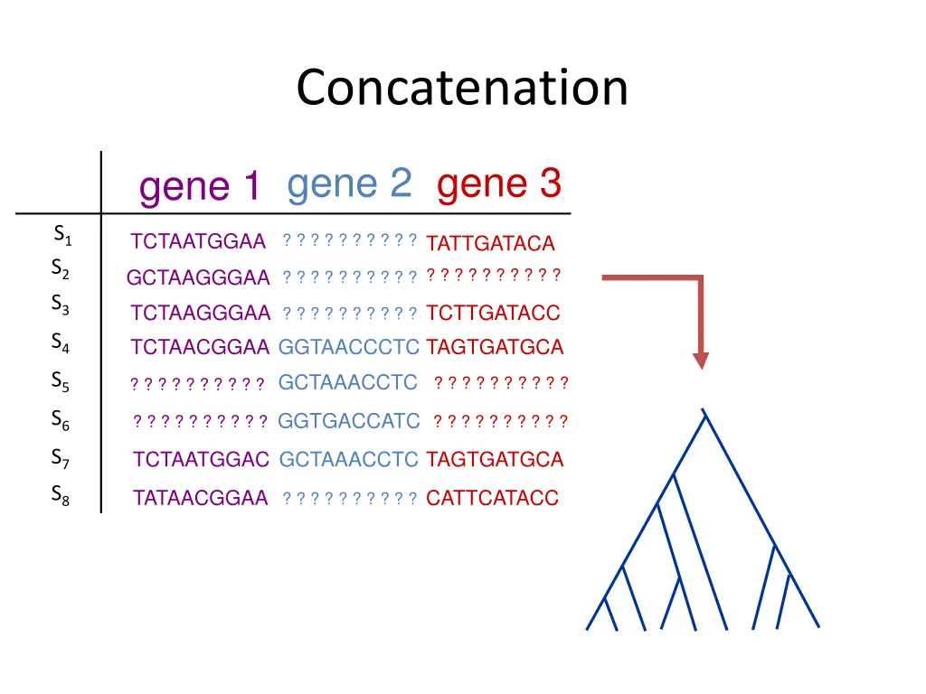 concatenation