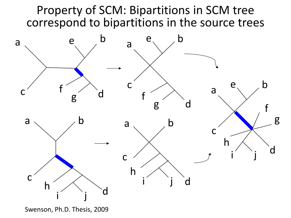 property of scm bipartitions in scm tree