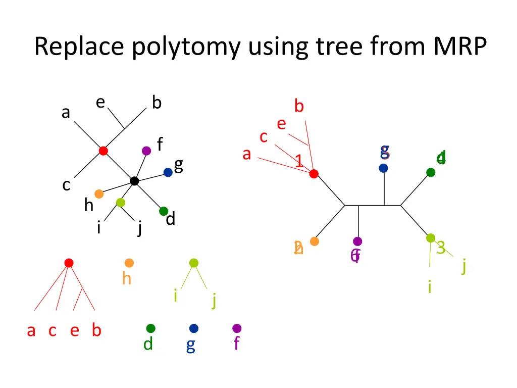 replace polytomy using tree from mrp