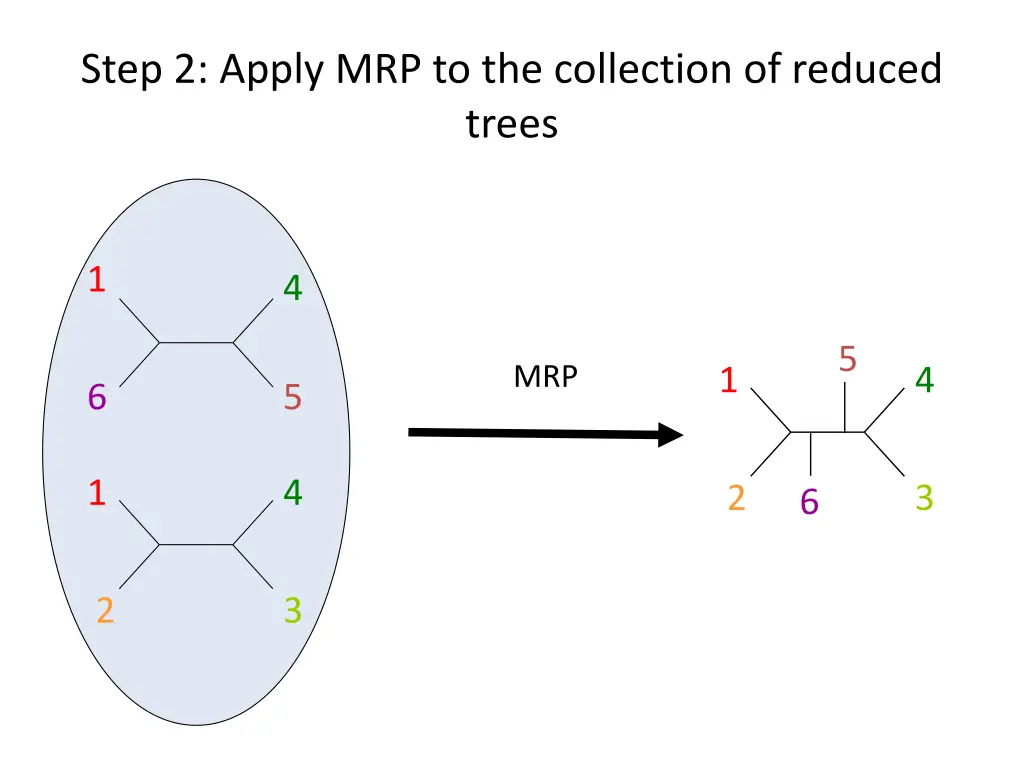 step 2 apply mrp to the collection of reduced