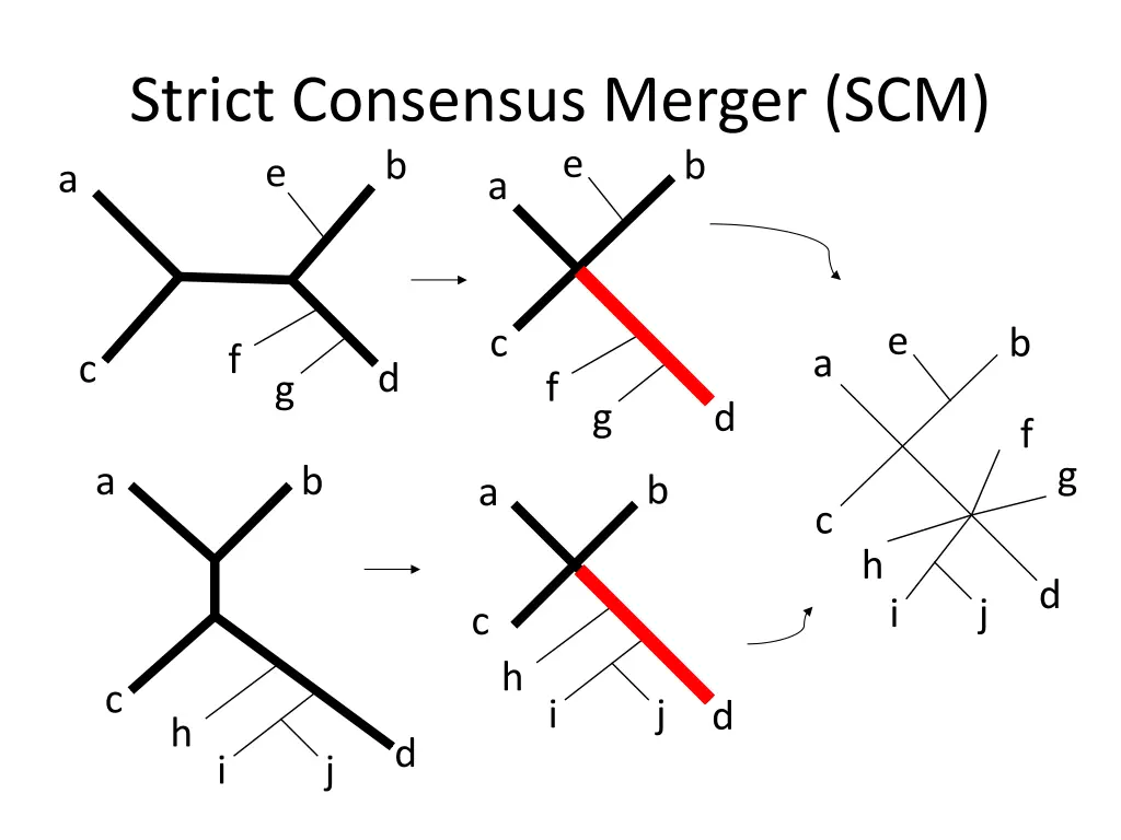 strict consensus merger scm b e a