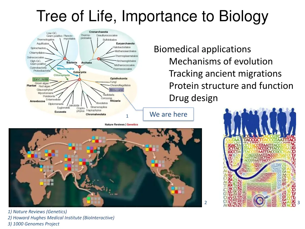 tree of life importance to biology
