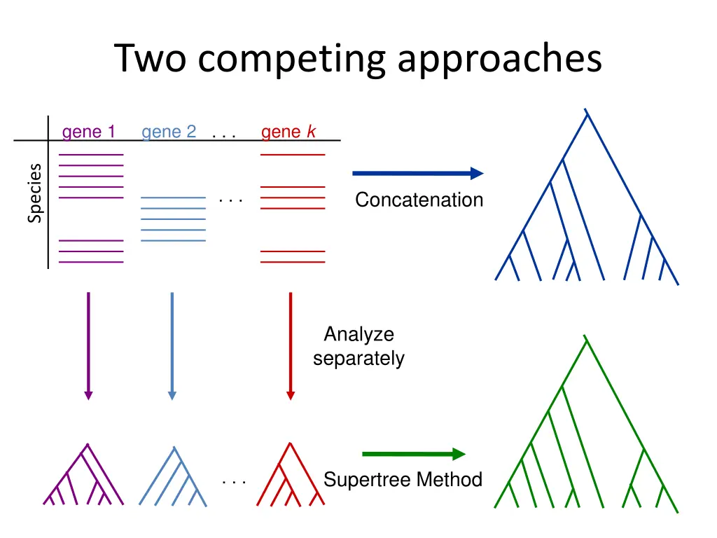 two competing approaches