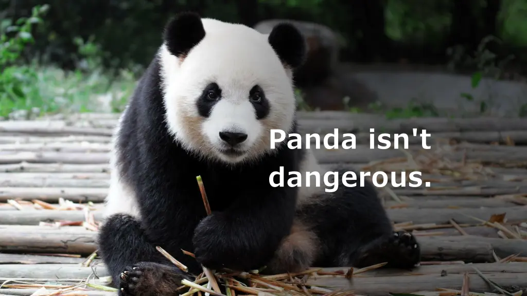 panda isn t dangerous