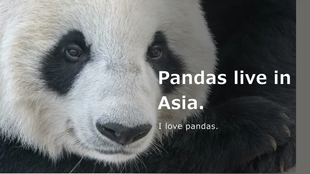 pandas live in asia