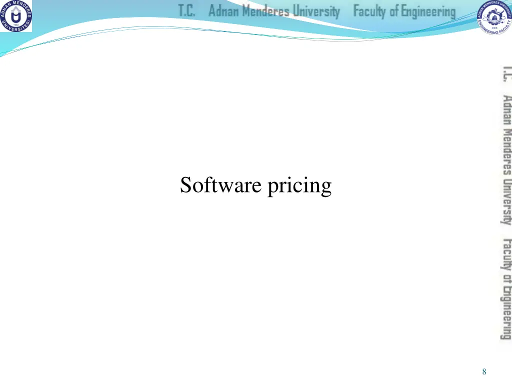 software pricing