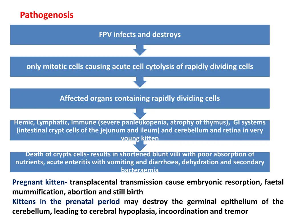 pathogenosis