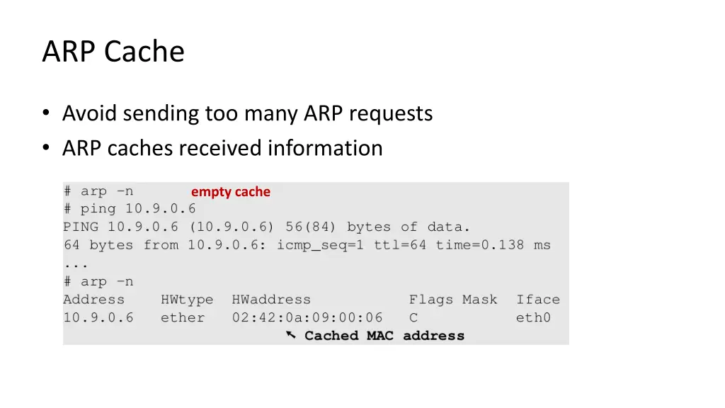 arp cache