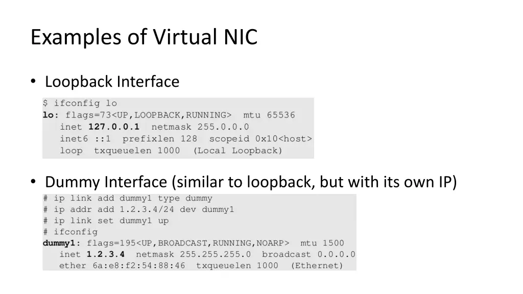 examples of virtual nic