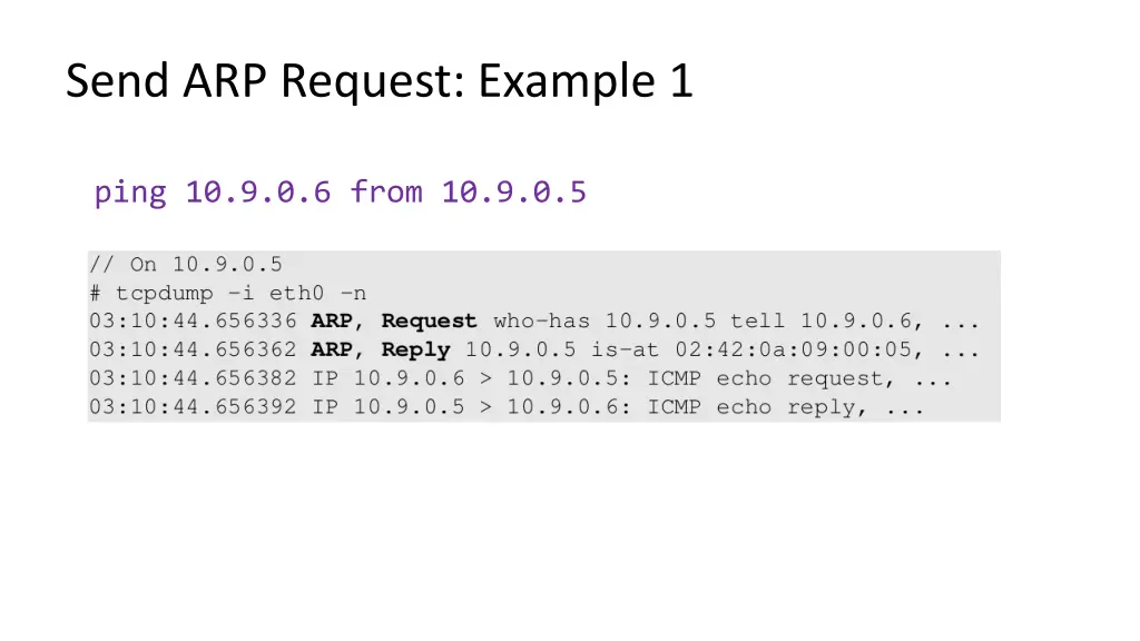send arp request example 1