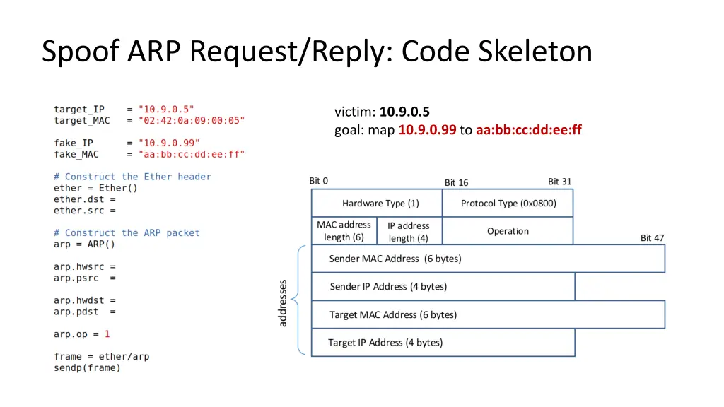 spoof arp request reply code skeleton