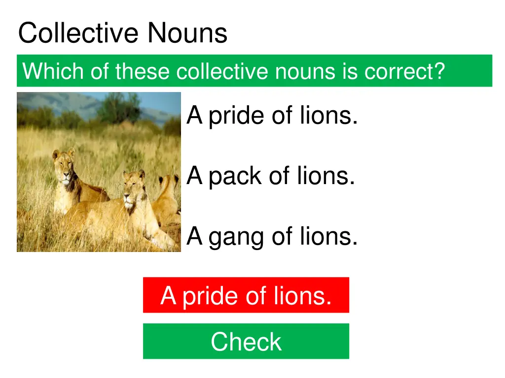 collective nouns 2