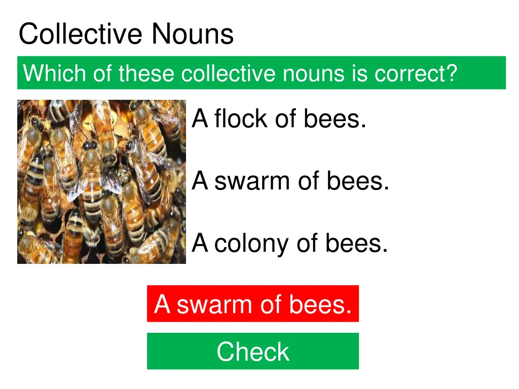 collective nouns 3