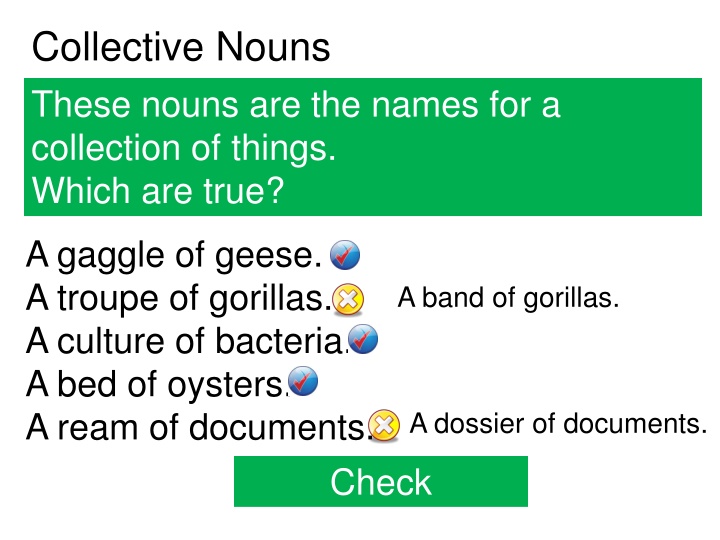 collective nouns these nouns are the names