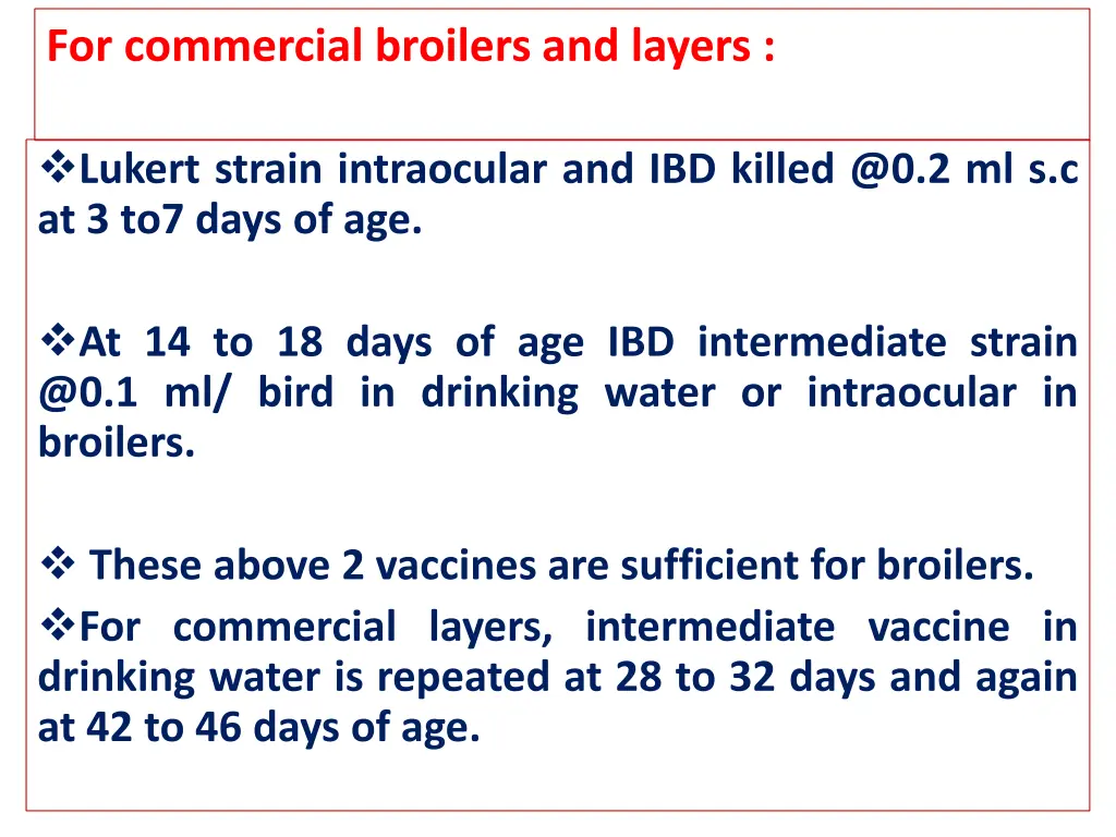 for commercial broilers and layers