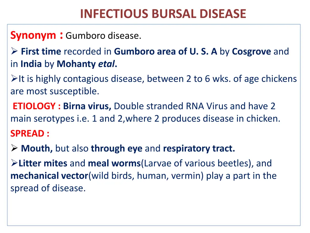 infectious bursal disease 1