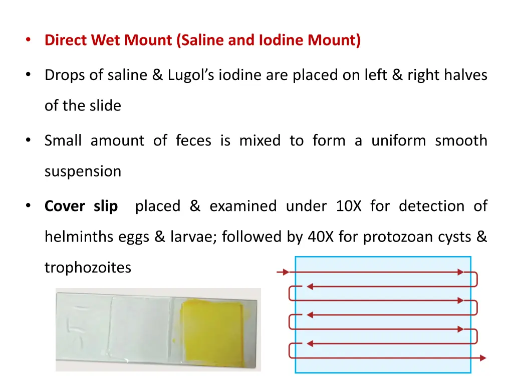 direct wet mount saline and iodine mount