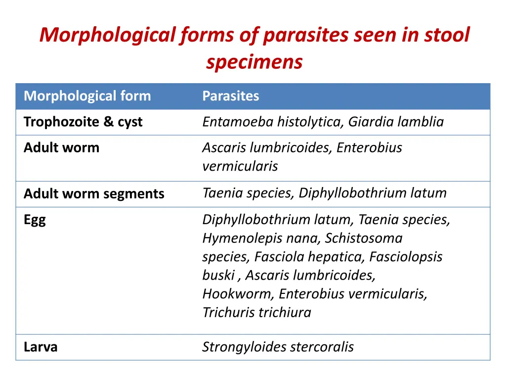 morphological forms of parasites seen in stool