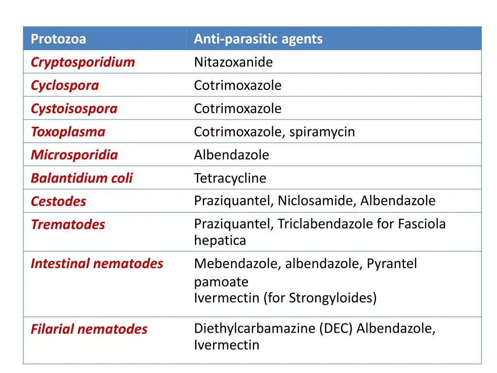 protozoa 1