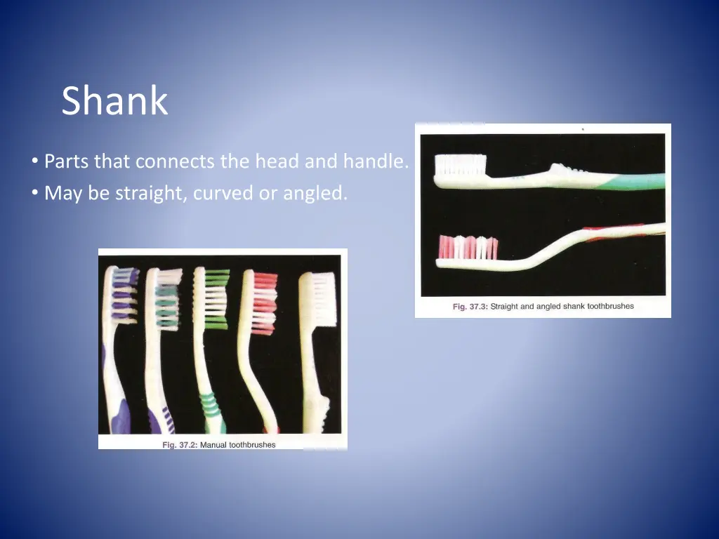 shank