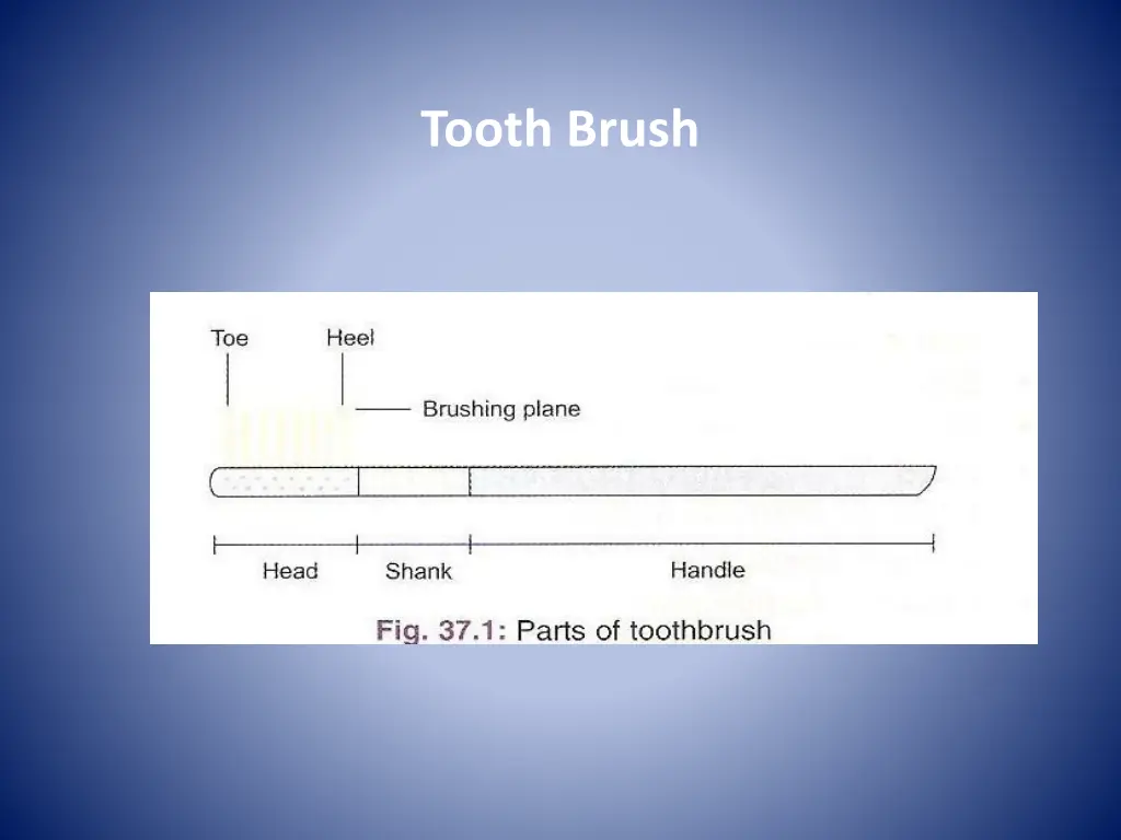 tooth brush