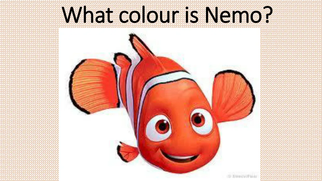 what what colour colour is is nemo